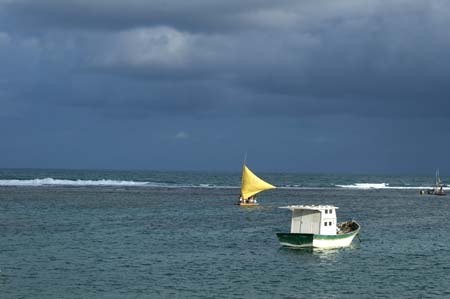 DSC_1580