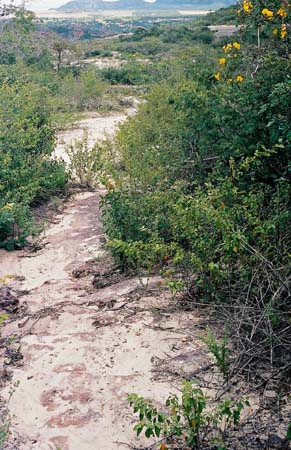 (2001)