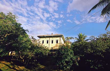 (2013)
