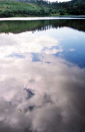 (2003)