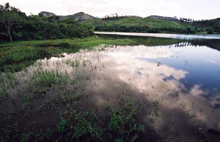 (2004)