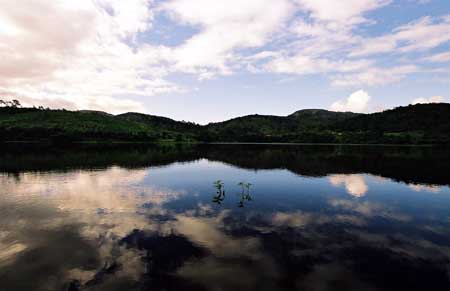 (2011)